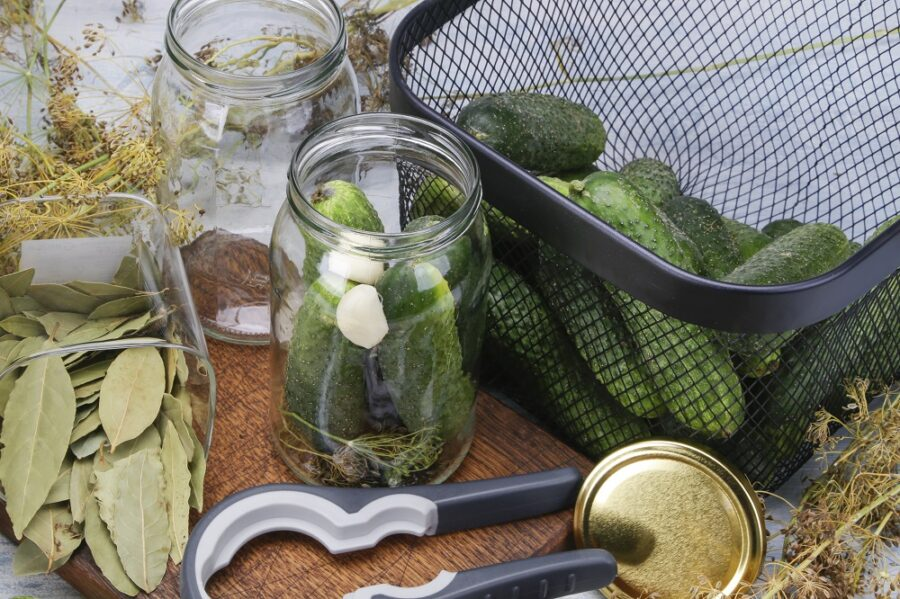 But I must explain to you how all this mistaken idea of denouncing